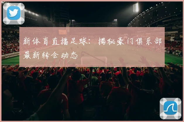新体育直播足球:揭秘豪门俱乐部最新转会动态